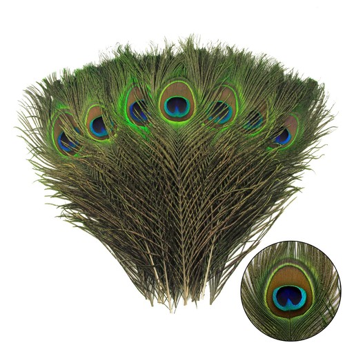 Tharaht 12pcs peacock feather - tharaht,