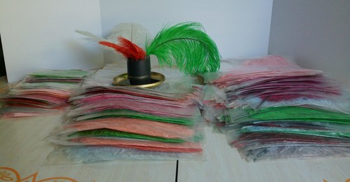 Large lot 240 - large, ostrich