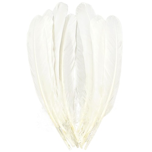 White feathers natural big - white, feathers,natural
