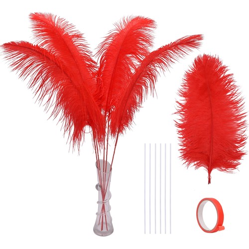 Real red ostrich feathers - real,