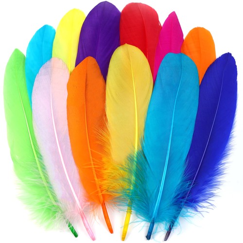 Goose feathers for crafts - goose,