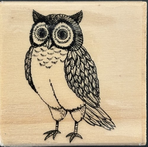 Rubber stamp big eye owl - big, with