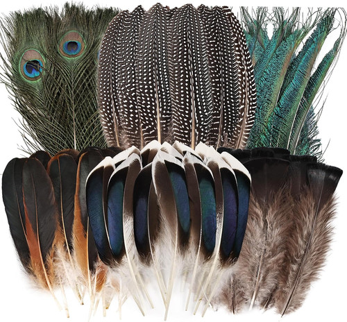 30pcs natural feathers bulk - natural, bulk-6